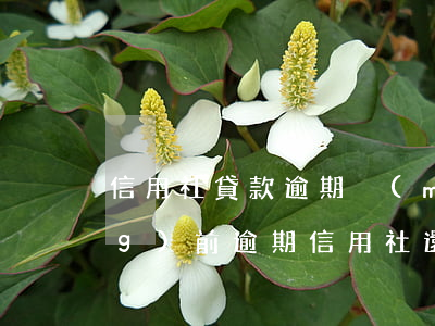 信用社貸款逾期沒(méi)還(當(dāng)前逾期 信用社還能貸款么)