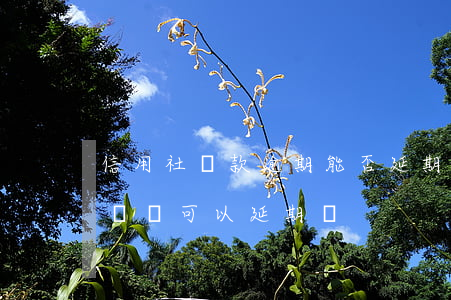 信用社貸款逾期能否延期(信用社貸款到期沒錢還可以延期嗎)