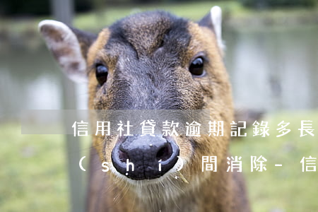 信用社貸款逾期記錄多長(zhǎng)時(shí)間消除-信用社貸款逾期記錄多長(zhǎng)時(shí)間消除掉