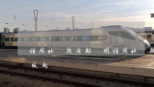 信用社貸款逾期證明(信用社貸款逾期后多久被起訴)