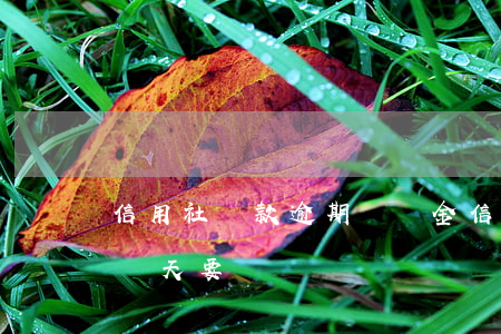 信用社貸款逾期違約金(信用社貸款利息逾期幾天要緊嗎)