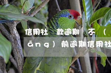 信用社貸款逾期還不進(jìn)去(當(dāng)前逾期 信用社還能貸款么)