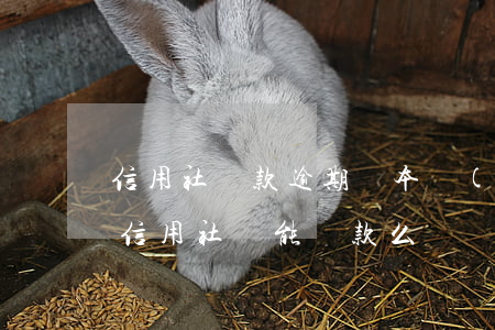 信用社貸款逾期還本(當(dāng)前逾期 信用社還能貸款么)