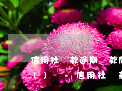 信用社貸款逾期還款后還能再貸出來(lái)嗎-信用社貸款逾期后還清還可以貸出來(lái)嗎