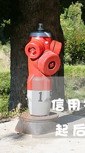 信用社貸款還不起會判刑嗎（信用社貸款還不起后果）