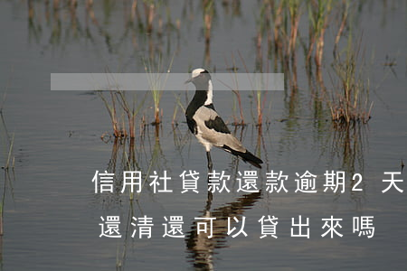 信用社貸款還款逾期2天(信用社貸款逾期后還清還可以貸出來嗎)