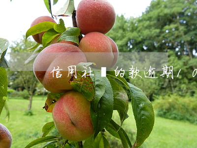 信用社貸的款逾期10年了怎么辦