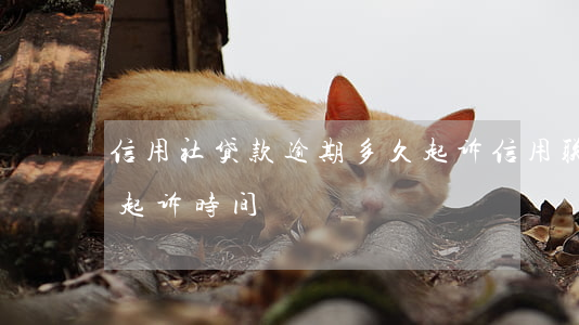 信用社贷款逾期多久起诉（信用联社贷款逾期起诉时间）