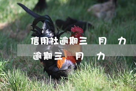 信用社逾期三個月無力償還會怎樣-信用社逾期三個月無力償還會怎樣處理