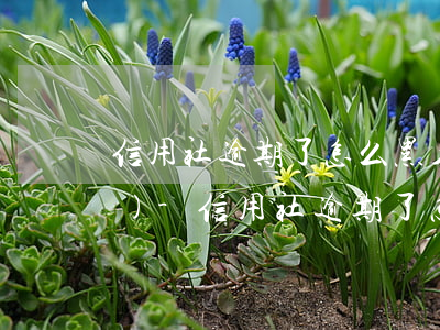 信用社逾期了怎么黑名單里拿出來(lái)-信用社逾期了怎么黑名單里拿出來(lái)的錢