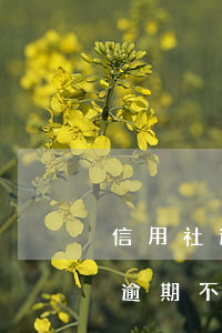 信用社逾期哪種情況下不會起訴(信用社貸款逾期不還有什么后果)