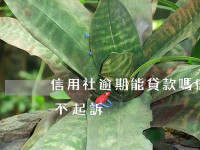 信用社逾期能貸款嗎(信用社貸款逾期為什么不起訴)