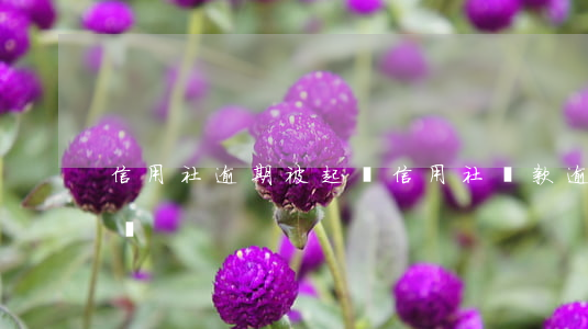 信用社逾期被起訴(信用社貸款逾期起訴怎么辦)