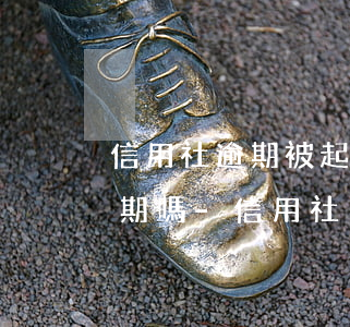 信用社逾期被起訴可以申請(qǐng)展期嗎-信用社欠款逾期多年起訴會(huì)進(jìn)去嗎