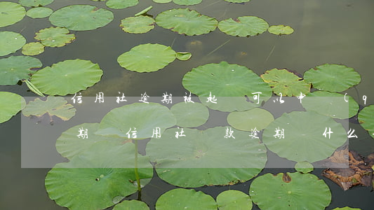信用社逾期被起訴可以申請(qǐng)展期嗎(信用社貸款逾期為什么不起訴)