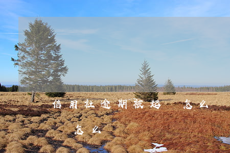 信用社逾期被起訴怎么辦(信用社貸款逾期起訴怎么辦)