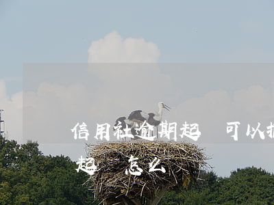信用社逾期起訴可以撤訴嗎(信用社貸款逾期起訴怎么辦)