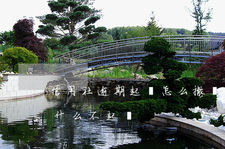 信用社逾期起訴怎么撤訴(信用社貸款逾期為什么不起訴)