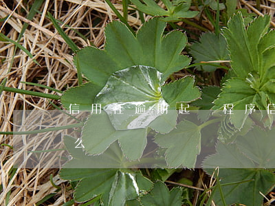 信用社逾期起訴程序(信用社貸款逾期起訴怎么辦)