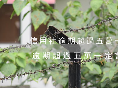 信用社逾期超過五萬一定會坐牢嗎-信用社逾期超過五萬一定會坐牢嗎知乎