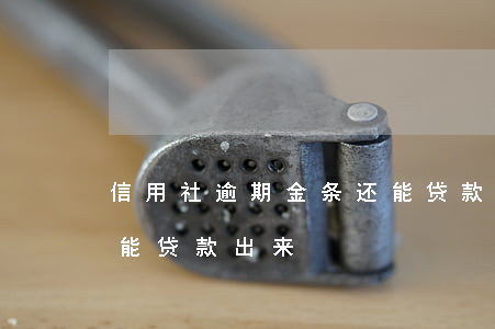 信用社逾期金条还能贷款吗(信用社逾期了还能贷款出来)