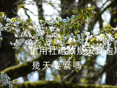 信用社還款幾天算逾期(信用社貸款利息逾期幾天要緊嗎)