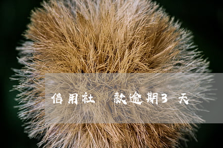 信用社還款逾期3天