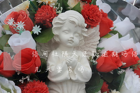 信用社隔天还款逾期吗(信用社贷款利息逾期几天要紧吗)