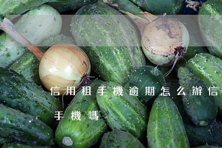 信用租手機逾期怎么辦（信用卡有逾期可以租手機嗎）