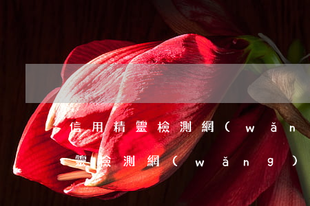 信用精靈檢測網(wǎng)貸逾期(信用精靈檢測網(wǎng)貸逾期)