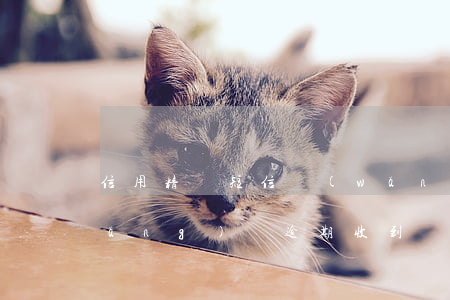 信用精靈短信網(wǎng)貸逾期(網(wǎng)貸逾期收到銀行短信)