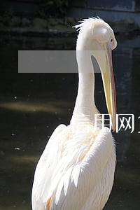 信用网贷欠十万(网贷欠十万怎么办)