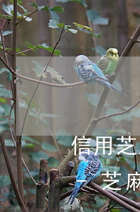 信用芝麻修復(fù)逾期成功還會掉分嗎-芝麻逾期修復(fù)能漲分嗎