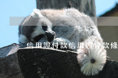 信用證付款(信用證付款條件)