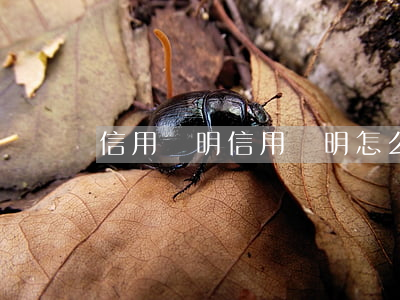 信用證明，信用證明怎么開(kāi)具
