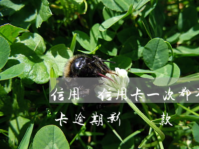 信用貸信用卡一次都不能逾期嗎(有一次信用卡逾期影響貸款嗎)