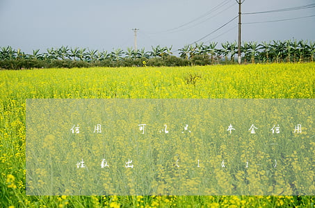 信用貸可以只還本金(信用貸的錢是可以一次性取出來(lái))