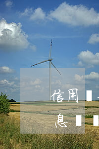 信用貸如何辦理停息掛賬(信用貸如何辦理停息掛賬)