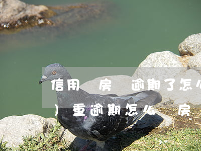 信用貸房貸逾期了怎么辦(信用卡嚴(yán)重逾期怎么辦房貸)