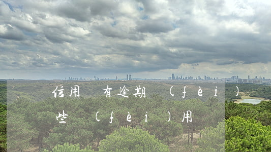 信用貸有逾期費(fèi)嗎(貸款逾期有哪些費(fèi)用)
