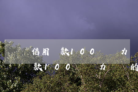 信用貸款100萬無力償還的后果-信用貸款100萬無力償還的后果是什么