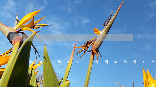 信用貸款25萬逾期(征信有五十元的逾期)