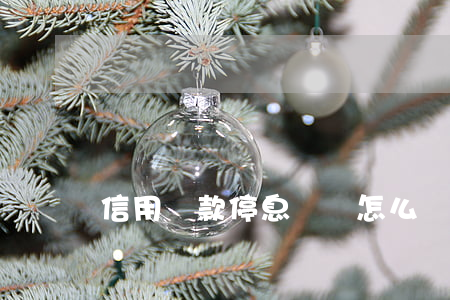 信用貸款停息掛賬怎么協(xié)商