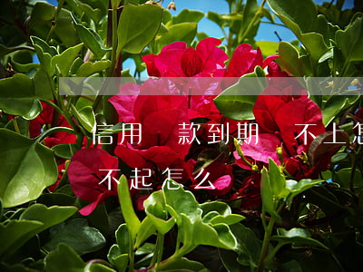 信用貸款到期還不上怎么辦(銀行信用貸款還不起怎么辦)