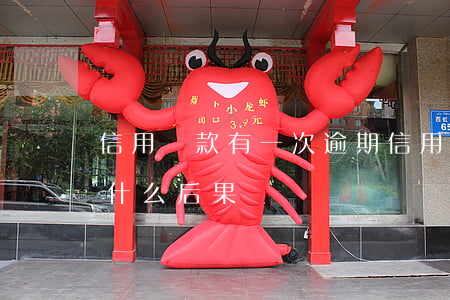 信用貸款有一次逾期(信用貸款逾期一個月有什么后果)