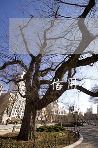 信用貸款轉(zhuǎn)入逾期分錄(貸款逾期會(huì)計(jì)分錄怎么寫)