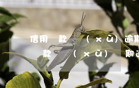 信用貸款連續(xù)逾期6個(gè)月(貸款連續(xù)兩期逾期)