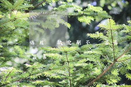 信用貸款逾期不還后果(貸款長時間逾期不還后果)