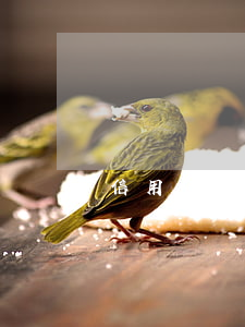 信用貸款逾期了怎么辦（維信貸款逾期怎么辦）