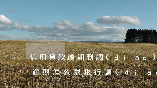 信用貸款逾期到調(diào)解中心(房貸逾期怎么跟銀行調(diào)解)